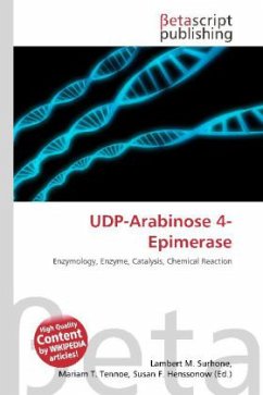 UDP-Arabinose 4-Epimerase