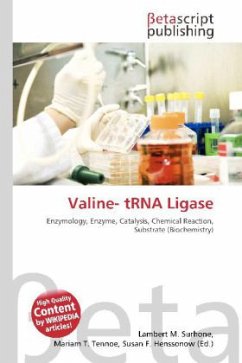 Valine- tRNA Ligase