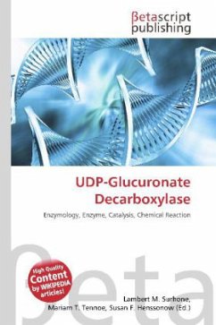 UDP-Glucuronate Decarboxylase