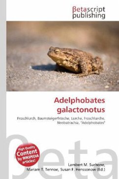 Adelphobates galactonotus