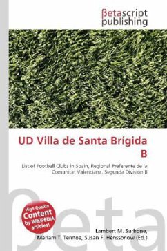 UD Villa de Santa Brígida B