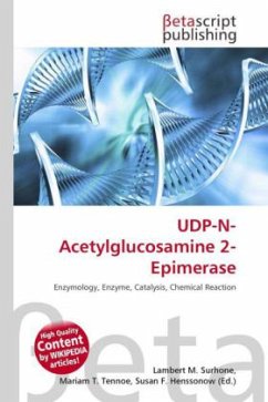 UDP-N-Acetylglucosamine 2-Epimerase