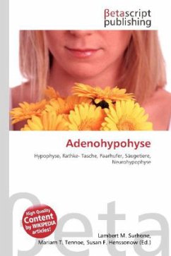 Adenohypohyse