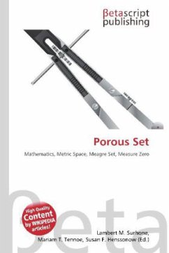 Porous Set