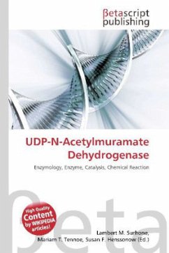UDP-N-Acetylmuramate Dehydrogenase