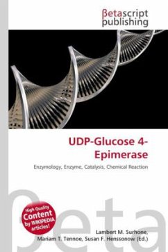 UDP-Glucose 4-Epimerase