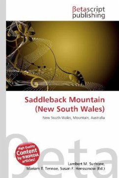 Saddleback Mountain (New South Wales)