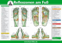 Reflexzonen am Fuß, Poster (A4) - Marquardt, Hanne