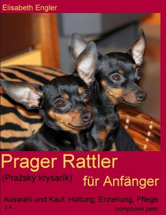 Prager Rattler (Pra¿ský krysarík) für Anfänger - Engler, Elisabeth