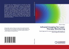 Infrared Imaging for Laser-Therapy Monitoring