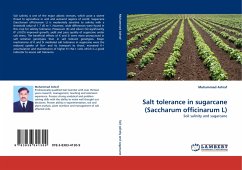 Salt tolerance in sugarcane (Saccharum officinarum L)