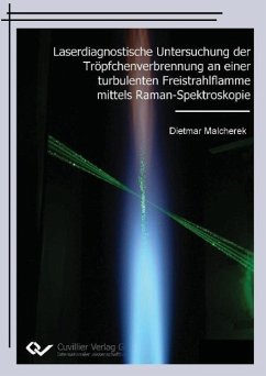 Laserdiagnostische Untersuchung der Tröpfchenverbrennung an einer turbulenten Freistrahlflamme mittels Raman-Spektroskopie - Malcherek, Dietmar