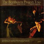 The Beethoven Project Trio