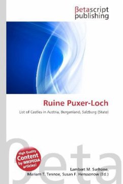 Ruine Puxer-Loch