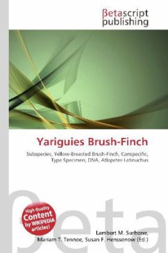 Yariguies Brush-Finch