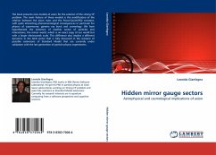 Hidden mirror gauge sectors - Gianfagna, Leonida