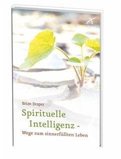 Cover Spirituelle Intelligenz - Wege zum sinnerfüllten Leben