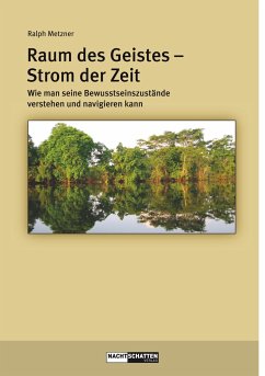 Raum des Geistes - Strom der Zeit - Metzner, Ralph