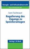 Regulierung des Zugangs zu Speicheranlagen