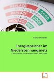 Energiespeicher im Niederspannungsnetz