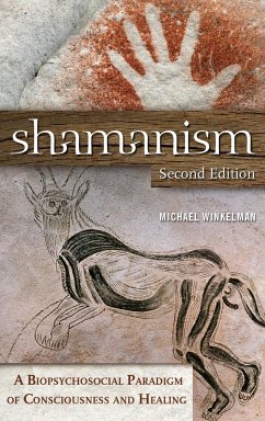 Shamanism - Winkelman, Michael