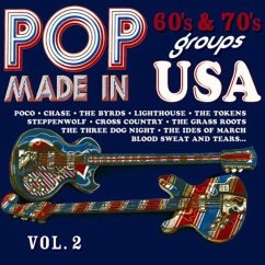 Pop Groups Made In Usa Vol.1 - Diverse