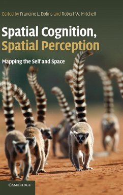 Spatial Cognition, Spatial Perception