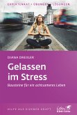 Gelassen im Stress: Bausteine für ein achtsameres Leben (Klett-Cotta Leben!)