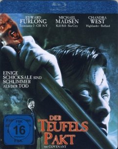 Cover Der Teufelspakt