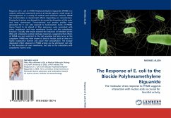 The Response of E. coli to the Biocide Polyhexamethylene Biguanide