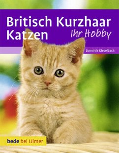 Britisch Kurzhaar Katzen - Kieselbach, Dominik;Betz, Heidi