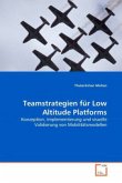 Teamstrategien für Low Altitude Platforms