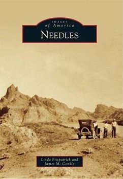 Needles - Fitzpatrick, Linda; Conkle, James M