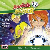 1-2-3 Winter-Hexerei! / Teufelskicker Hörspiel Bd.25 (1 Audio-CD)