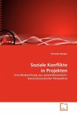 Soziale Konflikte in Projekten