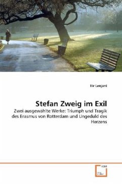 Cover Stefan Zweig im Exil