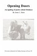 Opening Doors - Bild 1