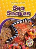 Sea Snakes