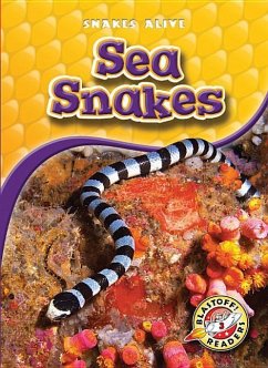 Sea Snakes - Sexton, Colleen