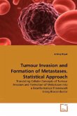 Tumour Invasion and Formation of Metastases. Statistical Approach
