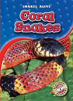 Coral Snakes - Sexton, Colleen