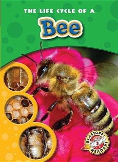 The Life Cycle of a Bee - Sexton, Colleen