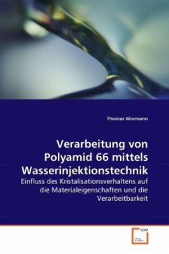 Verarbeitung von Polyamid 66 mittels Wasserinjektionstechnik - Wormann, Thomas