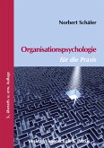 Organisationspsychologie für die Praxis.