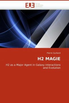 H2 MAGIE - Guillard, Pierre