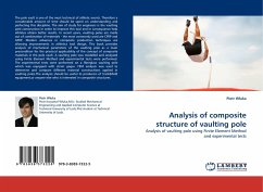 Analysis of composite structure of vaulting pole - Wluka, Piotr