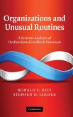 Organizations and Unusual Routines