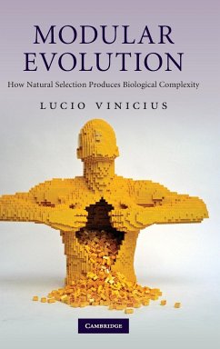 Modular Evolution - Vinicius, Lucio