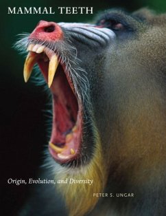 Mammal Teeth - Ungar, Peter S.
