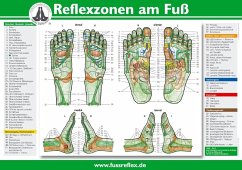 Reflexzonen am Fuß, Poster - Marquardt, Hanne